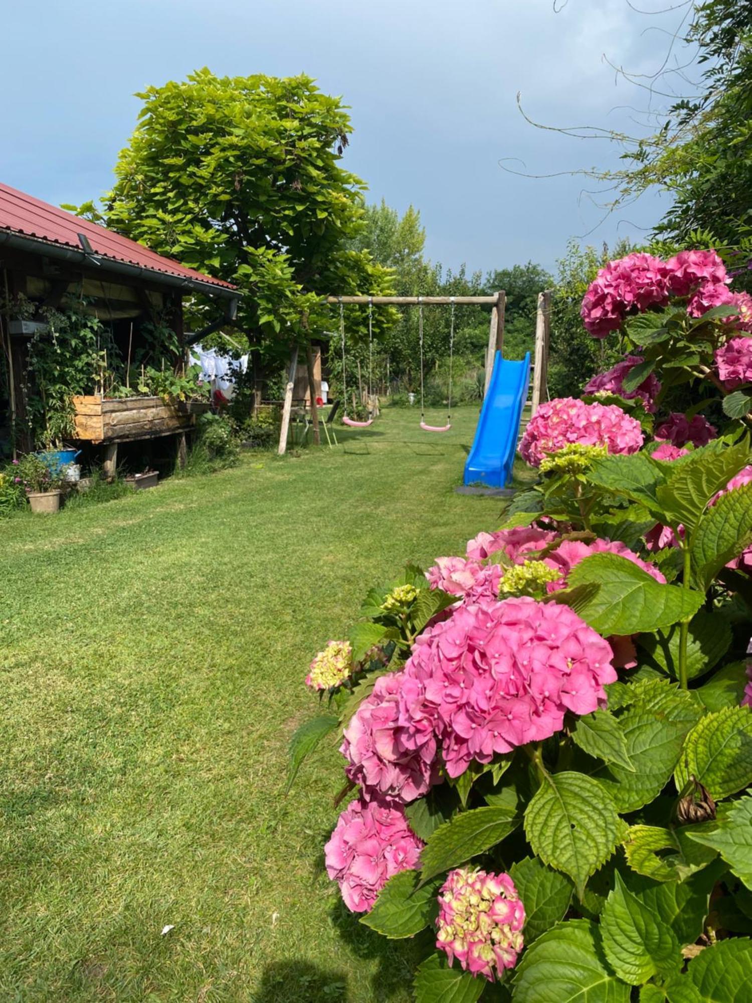 Apartment Hiza 38 Mala Subotica Dış mekan fotoğraf