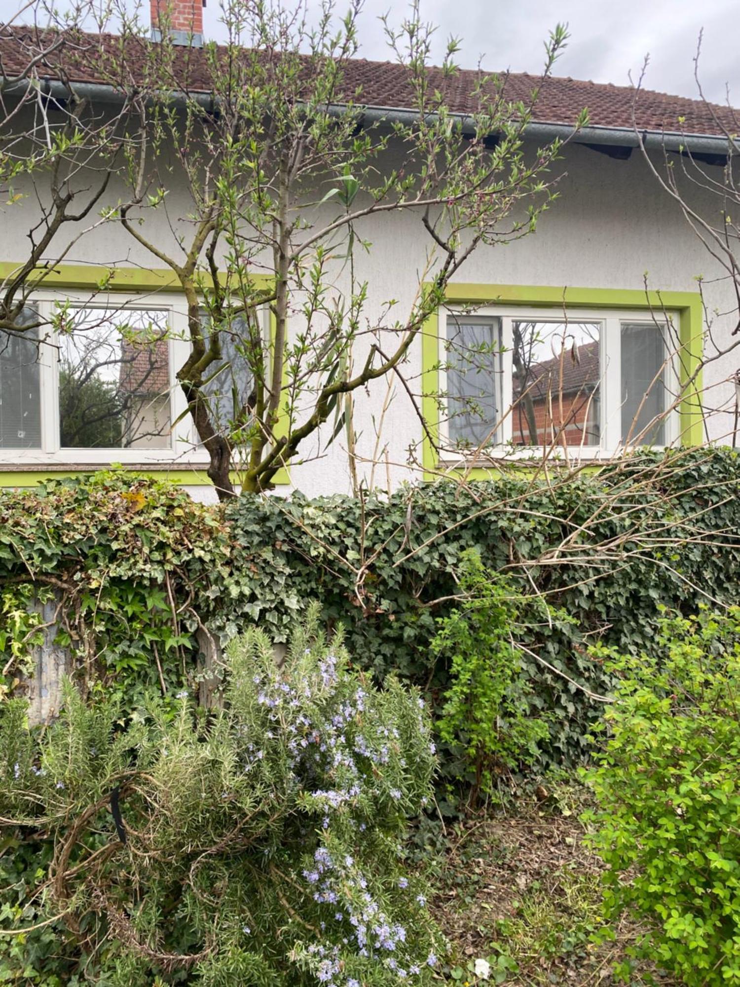 Apartment Hiza 38 Mala Subotica Dış mekan fotoğraf